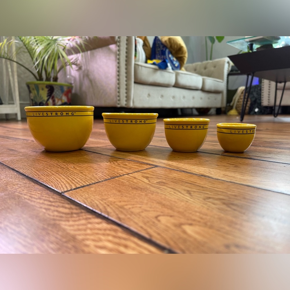 Chantal Measuring Cups Nesting Bowls Chantal Live Strong Yellow Set 4 2006